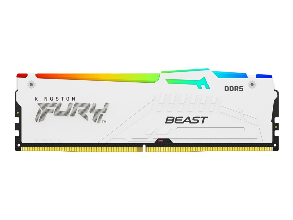 Kingston Technology FURY Beast RGB