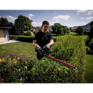 Metabo HS 18 LTX 55 - Pensasleikkuri - akkukäyttöinen - 18 V - 2600 kierrosta minuutissa - 55 cm - 53 cm - Leikkuukyky 19 mm - 2